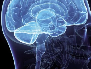 Αυτά είναι τα 8 γνωρίσματα που χαρακτηρίζουν τα άτομα με ανώτερη ευφυία